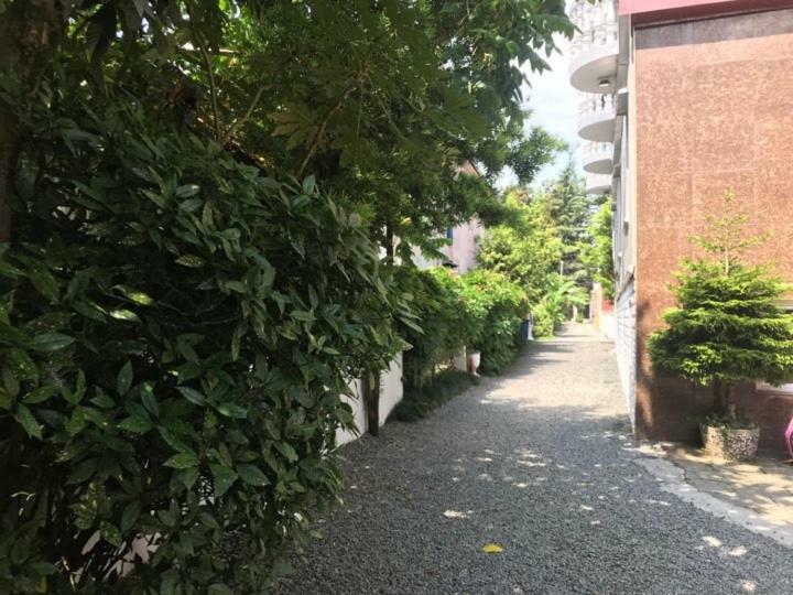 Hotel Twins Kobuleti Zewnętrze zdjęcie